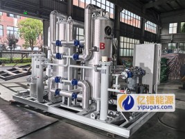 亿镨YNG11-2500-0.2~0.3-SM天然气脱水装置：...