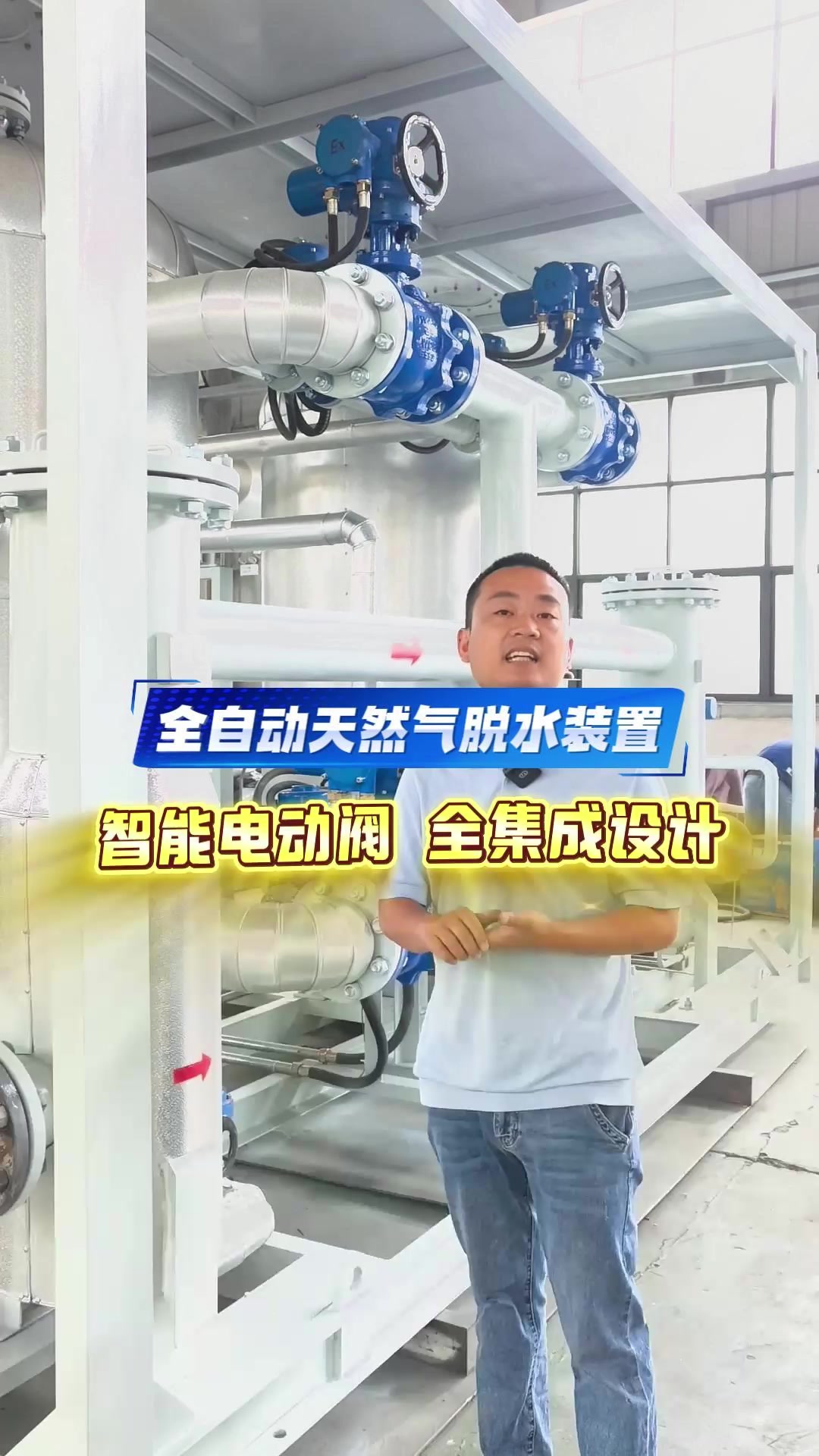 全自动天然气脱水装置 智能电动阀 全集成设计